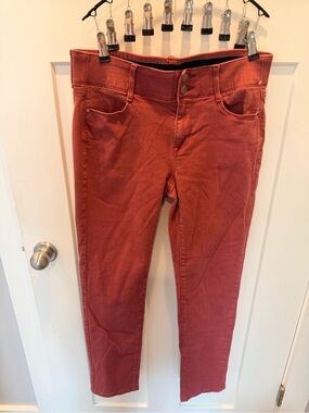 Apt 9 Rust Terracotta Straight Leg Jeans Size 12 Fall Autumn Pants